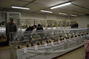 Krajská výstava chovatelů v Kasejovicích